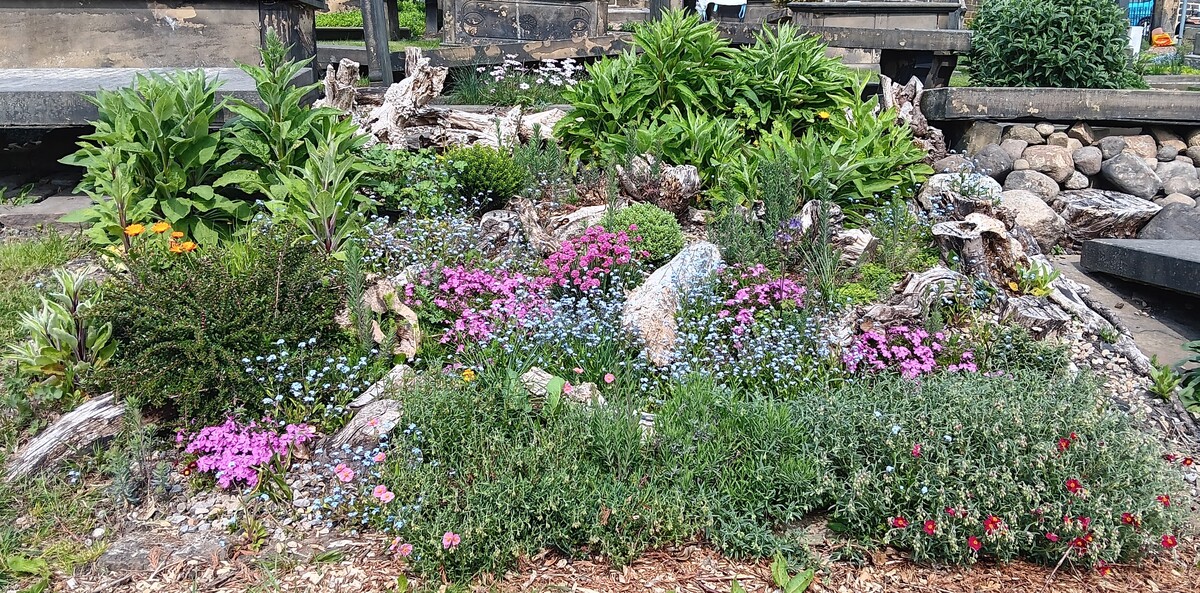 The Stumpery